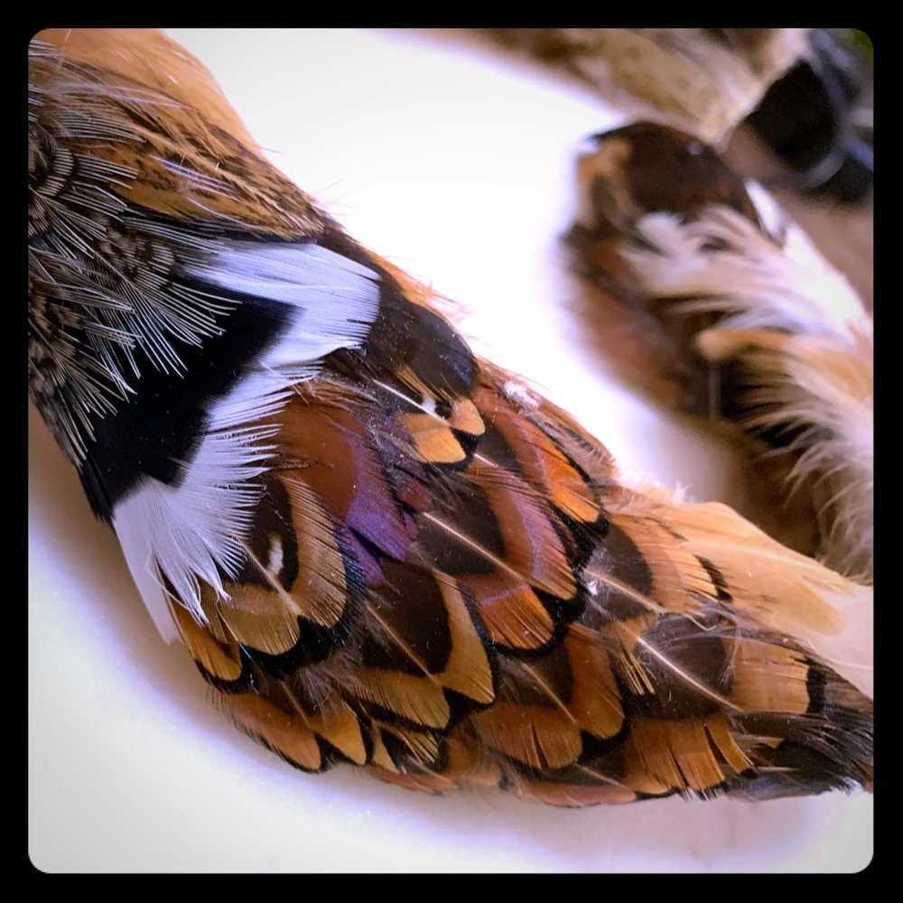 Vintage Multi luminous sheen feathered hatband.